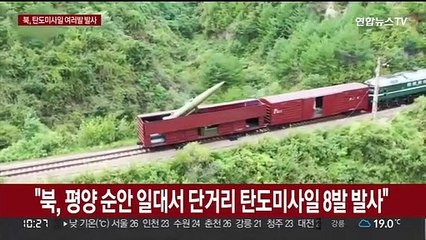 합참 "평양 순안 일대서 쏜 단거리 탄도미사일 8발 포착"