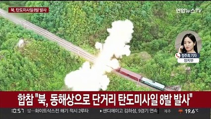 합참 "북, 평양 순안 일대 등서 단거리 탄도미사일 8발 발사"