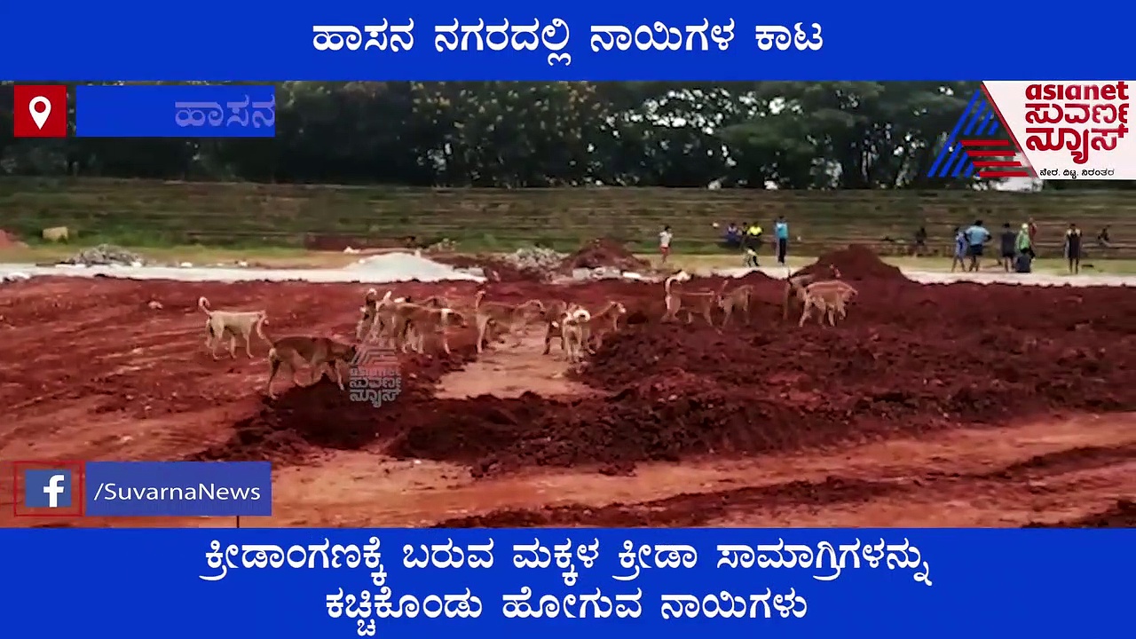 ಹಾಸನ ನಗರದಲ್ಲಿ ಹೆಚ್ಚಾದ ಬೀದಿ ನಾಯಿಗಳ ಕಾಟ