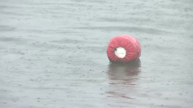 [날씨] 오늘 충청 이남 비...현충일 전국 단비 / YTN