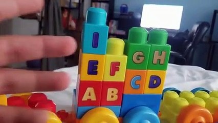 Mega Bloks Alpha Pig Follows the Fairy Dust