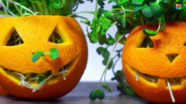 Last Minute Halloween Treats Easy Fun Halloween Treats Halloween Recipes