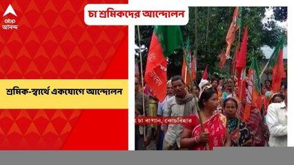 Tea workers movement: চা শ্রমিকদের দাবি আদায়ে একযোগে আন্দোলনে তৃণমূল, বিজেপি ও সিপিএমের শ্রমিক সংগঠনের