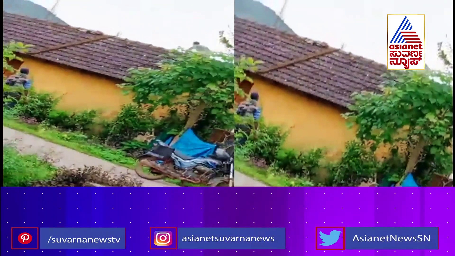 22 ಕಿಮೀ ದೂರ ಬಿಟ್ಟು ಬಂದರೂ ದ್ವೇಷ ತೀರಿಸಿಕೊಳ್ಳಲು ಬಂದ ವಾನರ..!