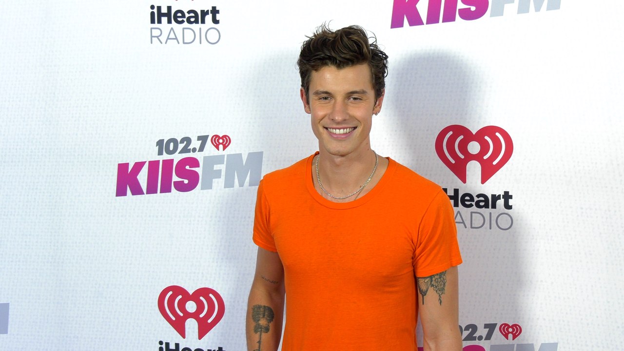 Shawn Mendes 2022 iHeartRadio's KIIS FM Wango Tango Pink Carpet
