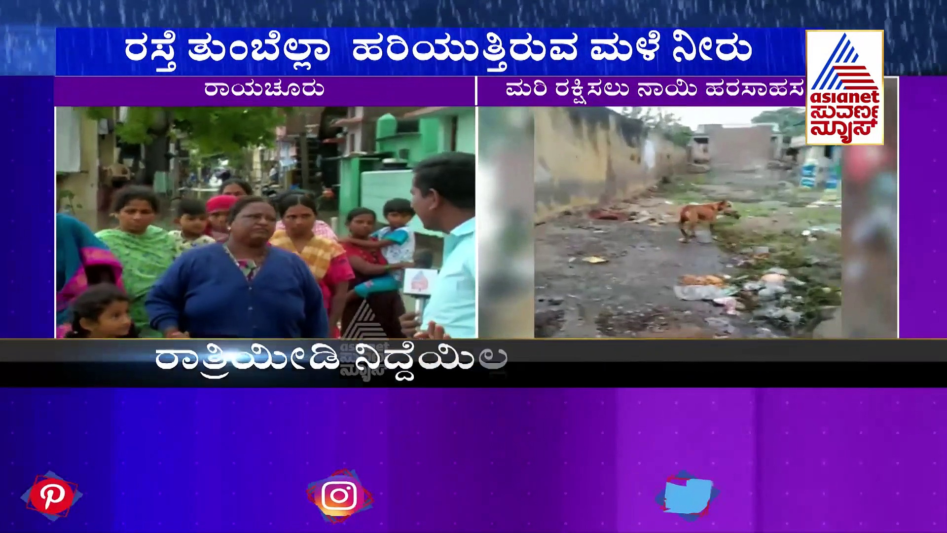 ರಾಯಚೂರಲ್ಲಿ ಭಾರೀ ಮಳೆ: ಬಾಯಲ್ಲಿ ಮರಿ ಹಿಡಿದು ನಾಯಿ ಪರದಾಟ