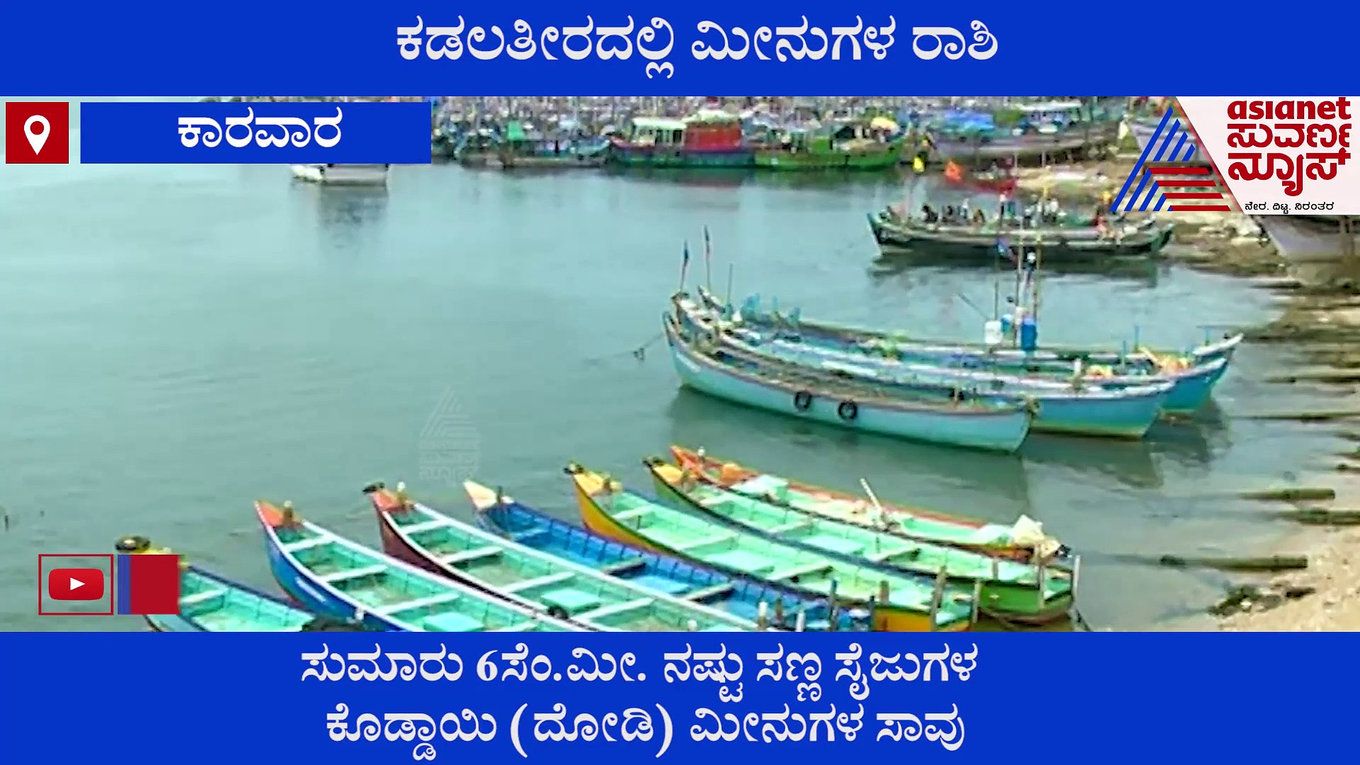 ಹಿಂದೂ ಮಹಾಸಾಗರದ ಉಷ್ಣತೆಯಲ್ಲಿ ಭಾರೀ ಬದಲಾವಣೆ, ಮೀನುಗಳ ಮಾರಣಹೋಮ