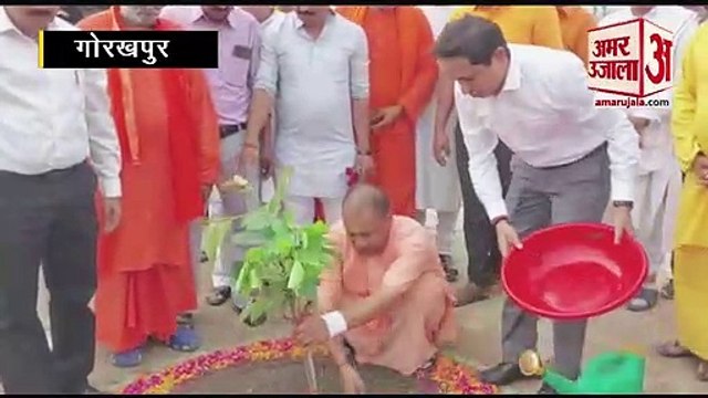 World Environment Day: सीएम योगी ने हरिशंकरी का पौधा लगाकर दिया पर्यावरण संरक्षण का संदेश