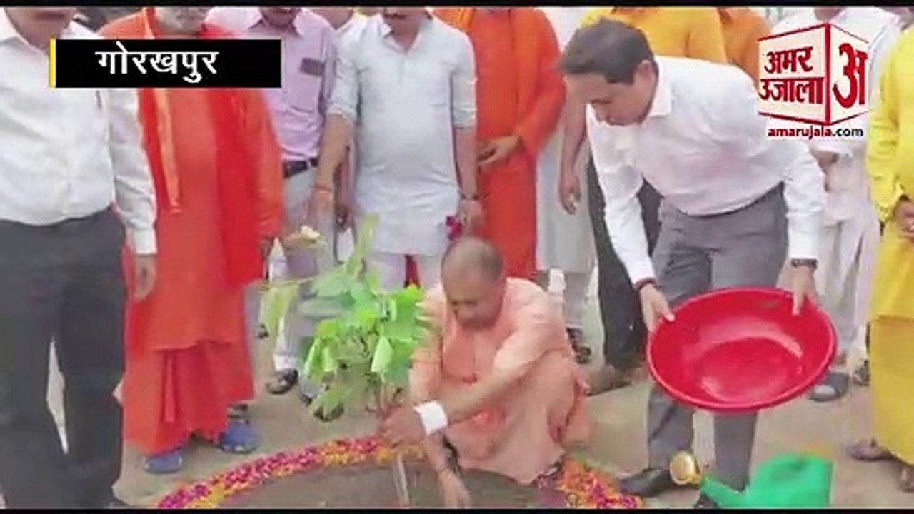 World Environment Day: सीएम योगी ने हरिशंकरी का...