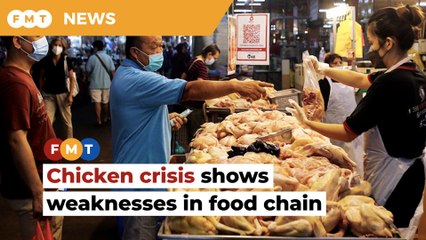 Chicken crisis over in weeks but reforms needed, says economist