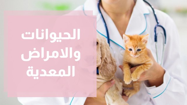 هل تنقل الحيوانات الأليفة الأمراض المعدية والأوبئة؟