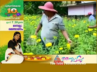 തൃശൂരിലെ ചെണ്ടുമല്ലി തോട്ടം