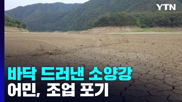 한가뭄에 실개천 된 소양강...어민 조업 포기 / YTN