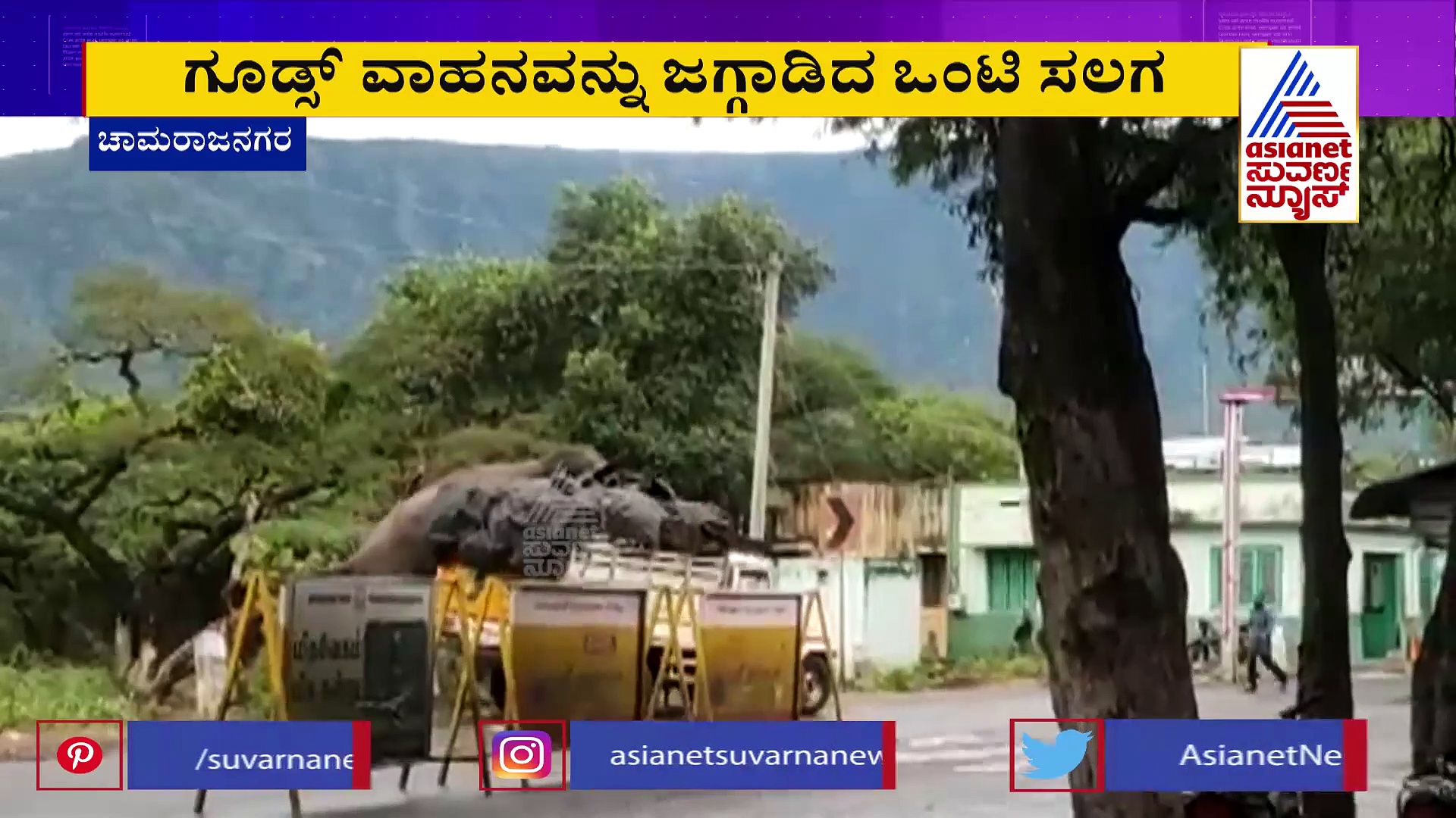 Chamarajnagar  ಕ್ಯಾಮರಾ ಕಣ್ಣಲ್ಲಿ ಸೆರೆಯಾಯ್ತು ಸಲಗಗಳ ಅಪರೂಪದ ವಿಡಿಯೋ