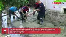 Feci şekilde can verdi! Dehşetin boyutu evin duvarına yansıdı