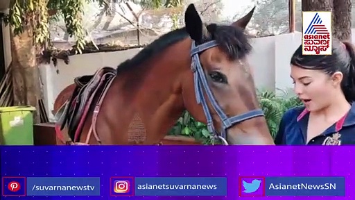 ಬೆಳಗಾವಿಯಲ್ಲಿ ರಾಜ್ಯೋತ್ಸವ; ರಿಷಬ್ ಶೆಟ್ಟಿ ಪರ ನಿಂತ ಕೋಟ್ಯಾಂತರ ಕನ್ನಡಿಗರು