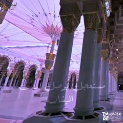 يارب نصلي في مسجد نبينا - حالات واتس في حب المدينة المنورة ❤️
