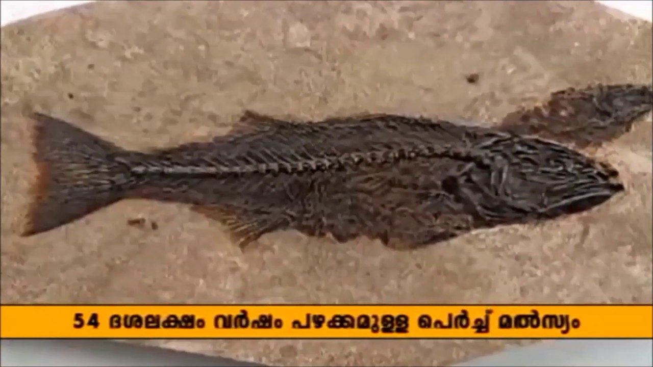 PARINAMAM