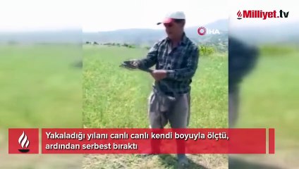 Yakaladığı yılanı canlı canlı kendi boyuyla ölçtü