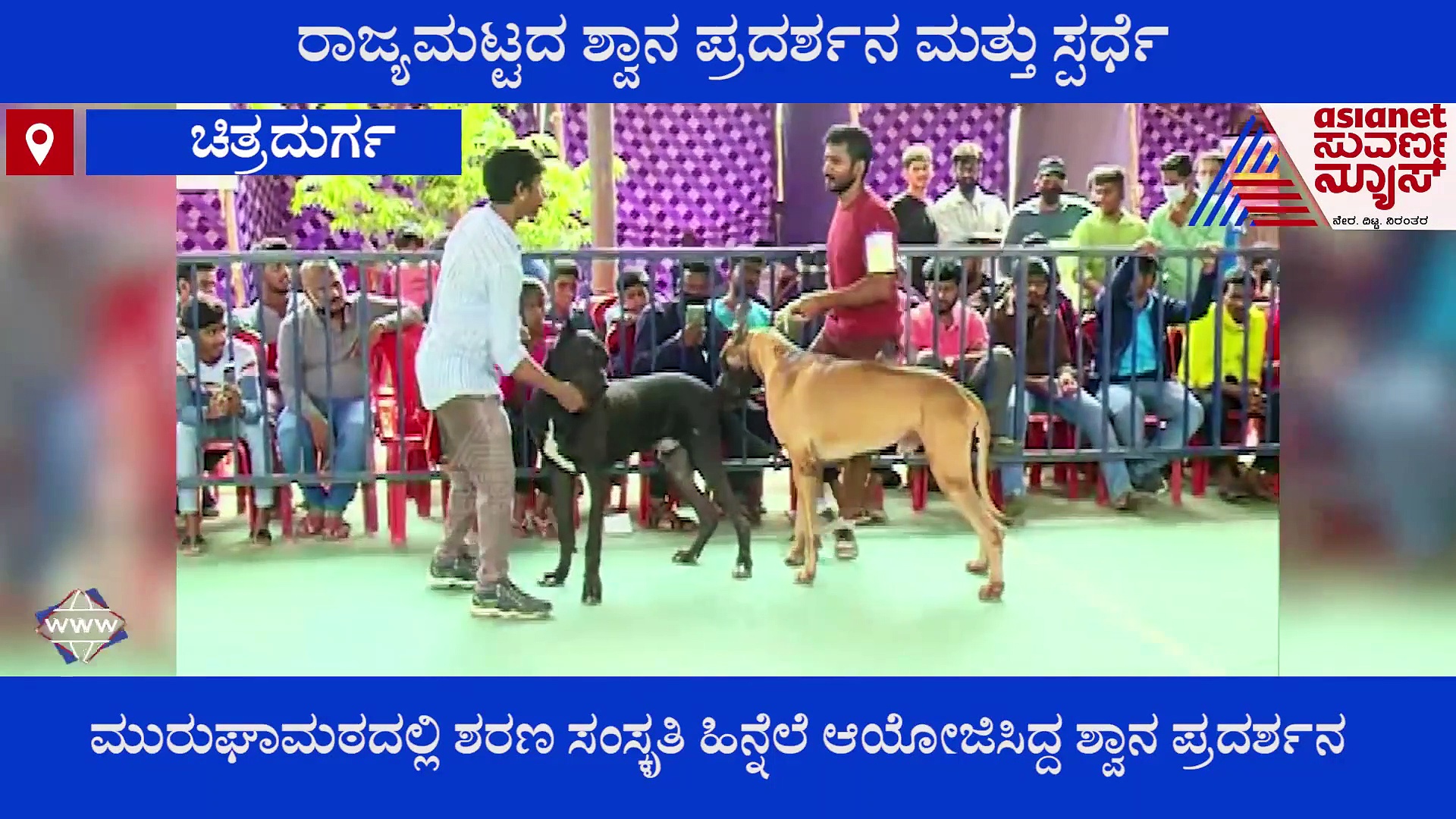 ಚಿತ್ರದುರ್ಗ: ಫ್ಯಾಶನ್‌ಶೋದಲ್ಲಿ ಮಿಂಚಿದ ಶ್ವಾನಗಳು..!