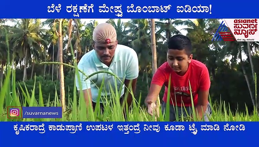 ತೋಟ, ಗದ್ದೆಗಳಿಗೆ ಕಾಡುಪ್ರಾಣಿಗಳ ಉಪಟಳಕ್ಕೆ ಉಡುಪಿ ಮೇಷ್ಟ್ರ ಬೊಂಬಾಟ್ ಐಡಿಯಾ..!