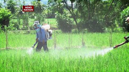 World Environment Day 2022: 5 June को विश्व पर्यावरण दिवस मनाने का उद्देश्य क्या है, Environment Day