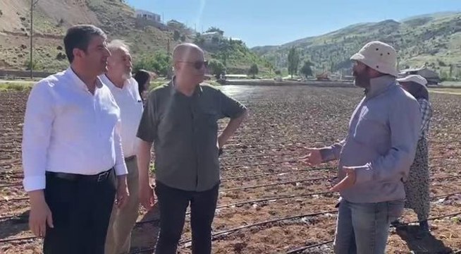 Adıyamanlı Tütün Üreticisi: Amerikan Şirketlerine Peşkeş Çekiliyor Çiftçi