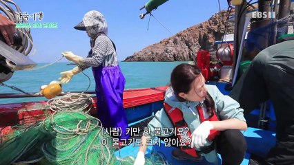 한국기행 - 브라보! 마이 라이프 1부- 푸른 바다 붉은 끝 섬, 홍도_#002