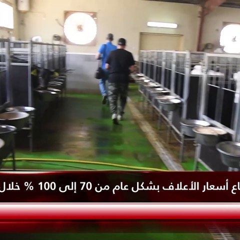 «الأنباء» زارت مزارع الصليبية لإنتاج الحليب الطازج ورصدت أبرز التحديات أمام المنتج الوطني