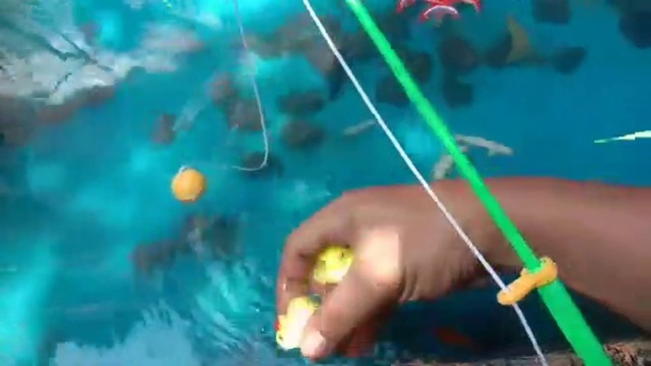 mencari mainan anak, menangkap ikan, mancing ikan, ikan koi, ikan nemo, ikan emas, ikan lele