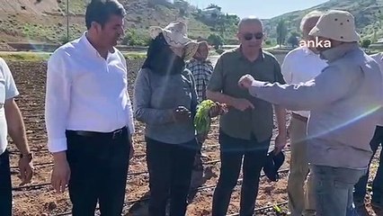 Adıyamanlı tütün üreticisi: "Amerikan şirketlerine peşkeş çekiliyor çiftçi"