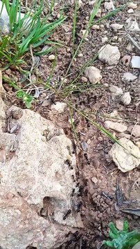 Ait bou Ali tidili massfioua Marrakech Maroc