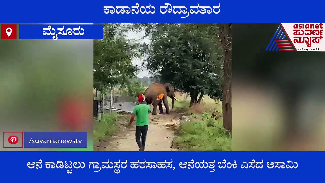 Mysuru: ಆನೆಯತ್ತ ಬೆಂಕಿ ಸೌದೆ ಎಸೆದ ಆಸಾಮಿ, ಸಿಟ್ಟಿಗೆದ್ದು ಮಾಡಿದ್ದೇನು ನೋಡಿ