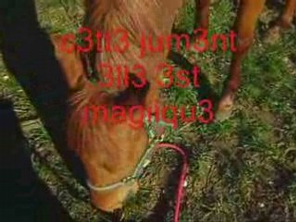 libella je t'aime