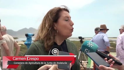 Video herunterladen: Crespo destaca la aportación de los drones a las labores de protección y conservación ambiental