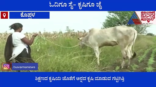 Women Special: 7 ಎಕರೆ ಜಮೀನಿನಲ್ಲಿ ಕೃಷಿ ಮಾಡಿ ಸೈ ಎನಿಸಿಕೊಂಡ ಶಿಕ್ಷಕಿ, ಭೇಷ್!