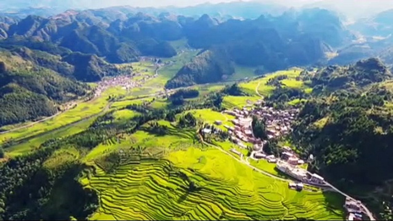 NAPASIN (BU GUO REN JIAN) x Gedruk x Bang Bang Wetan x Kebo Giro x Koplo