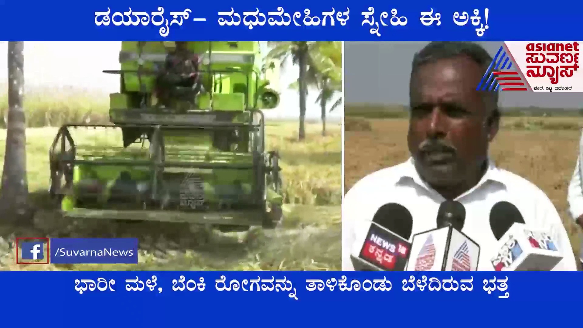 Dia Rice For Diabetic: ಡಯಾರೈಸ್- ಮಧುಮೇಹಿಗಳ ಸ್ನೇಹಿ ಈ ಅಕ್ಕಿ!