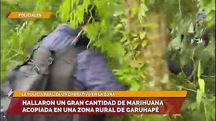 HALLARON UN GRAN CANTIDAD DE MARIHUANA ACOPIADA EN UNA ZONA RURAL DE GARUHAPÉ