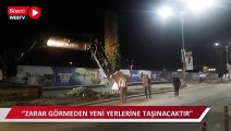 AKP'li belediye yol çalışması için 20 ağacı söktü