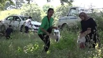 Kestel Belediyesi öncülüğünde gönüllüler, mesire alanından bir kamyon çöp topladı