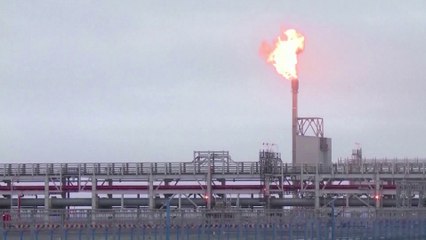 حرب أوكرانيا تنعش غاز أفريقيا.. كيف؟