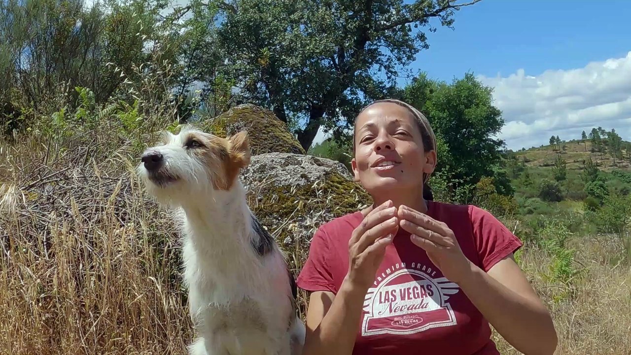 Molly the Singing Dog