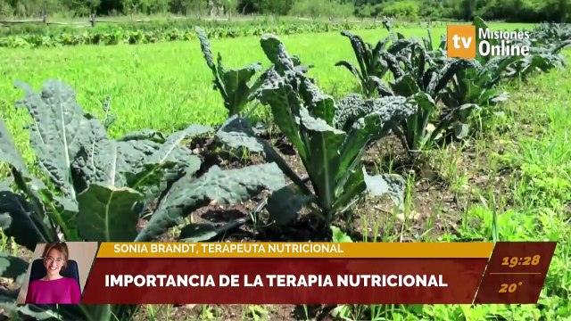 Recomiendan comer frutas y verduras en invierno