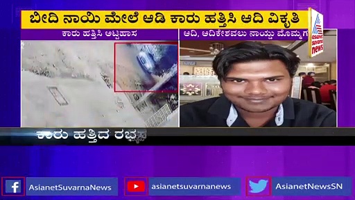 Animal Cruelty : ಬೀದಿ ನಾಯಿ ಮೇಲೆ ಆಡಿ ಕಾರು ಹತ್ತಿಸಿ ವಿಕೃತಿ,  ಆದಿಕೇಶವಲು ಮೊಮ್ಮಗನ ಸಂಸ್ಕೃತಿ!