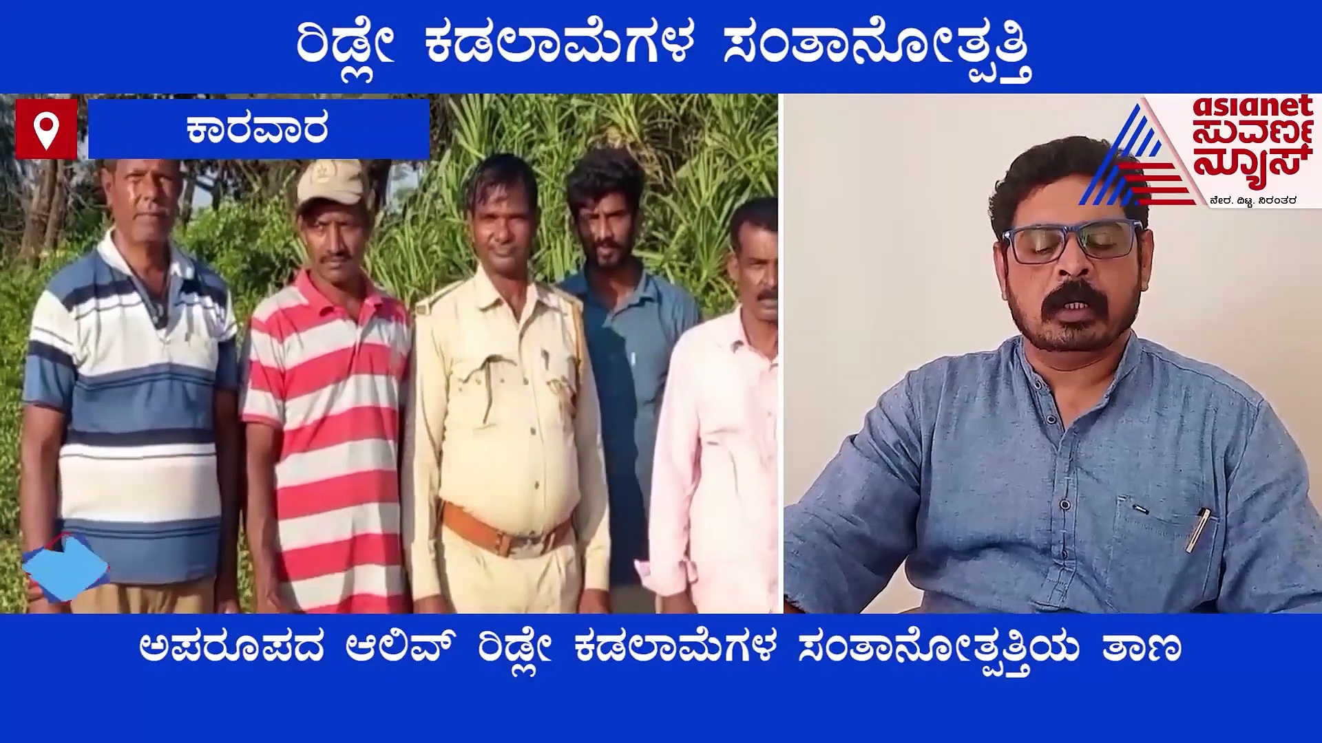 Uttara Kannada: ರಿಡ್ಲೇ ಕಡಲಾಮೆಗಳ ಸಂತಾನೋತ್ಪತ್ತಿ ಸಮಯ, ಅರಣ್ಯ ಇಲಾಖೆಯಿಂದ ರಕ್ಷಣಾ ಕಾರ್ಯ