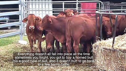 Neil Hobart | June 2022 | Queensland Country Life