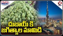 Telangana Brand Mango Export To Dubai , Farmers Express Happiness _ Jagital _ V6 Weekend Teenmaar