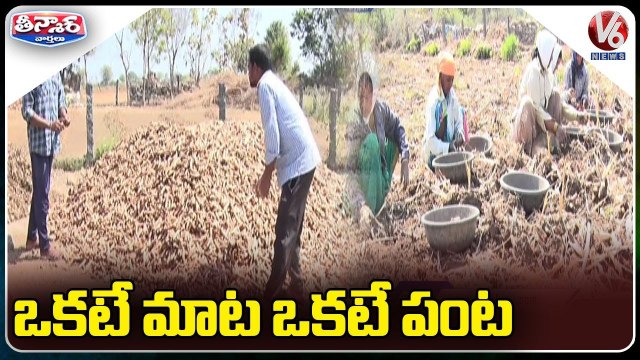 Whole Village Doing Same Farming _ Nirmal Dist _ V6 Weekend Teenmaar