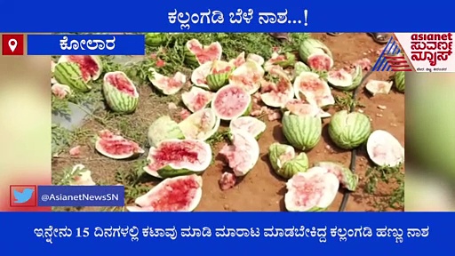 Kolar:  5 ಎಕರೆ ಜಮೀನಲ್ಲಿ ಬೆಳೆದಿದ್ದ ಕಲ್ಲಂಗಡಿ ಹಣ್ಣು ನಾಶ ಮಾಡಿದ ದುಷ್ಕರ್ಮಿಗಳು: ಕಂಗಾಲಾದ ರೈತ